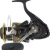BG BLACK GOLD 2500 Moulinet Daiwa
