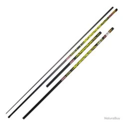 Canne Bordure Margin Carp 3,60m - 4,20m - 4,80m Arca