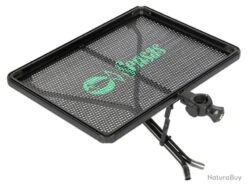 Dessert Word Champion Medium Sensas