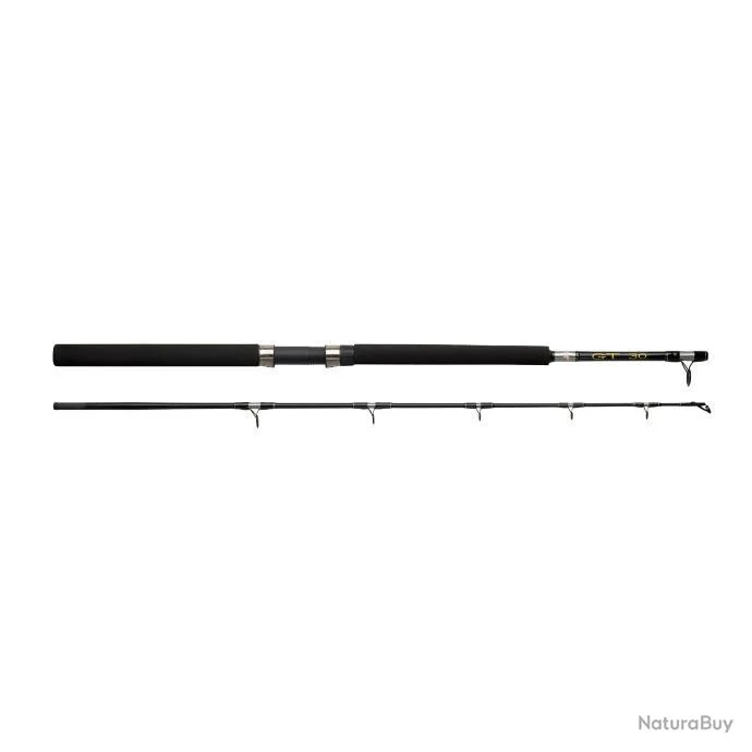 Ensemble Casting Abu Garcia Rod Gt 602 + 30LBs Boat 3 Ensemble Casting Abu Garcia Rod Gt 602 + 30LBs Boat