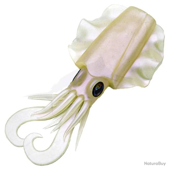 JLC SEPIA Corps PINK FLASHES #2 3 JLC SEPIA Corps PINK FLASHES #2