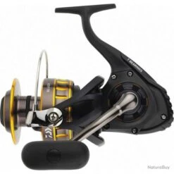 Moulinet Daiwa Exotique Bg 4000