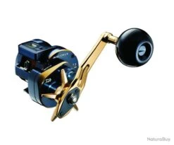 Moulinet Casting Daiwa Saltiga 2022 15HL