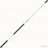 Team Daiwa 60 TE Télescopique Canne Daiwa