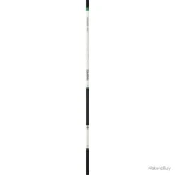 Canne Daiwa Team - 7.97 M / 7
