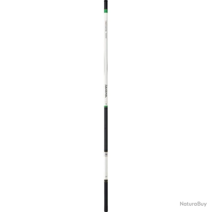 Canne Daiwa Team - 9.05 M / 8 3 Canne Daiwa Team - 9.05 M / 8