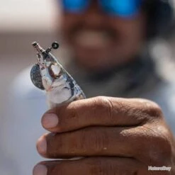 Emerillons Ringer Swivels Pre-Twisted -Daiwaori Magasin 00002 Emerillons Ringer Swivels Pre Twisted