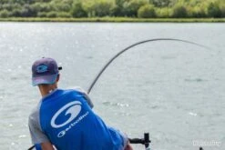 Zombie Silurus 8.40M Emmanchement Specimen Garbolino -Daiwaori Magasin 00003 Zombie Silurus 8.40M Emmanchement Specimen Garbolino