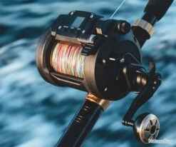 Moulinet Tanacom 1200 Moulinet Electrique Daiwa -Daiwaori Magasin 00004 Moulinet Tanacom 1200 Moulinet Electrique Daiwa