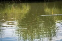 Mtx V2 Grey Short Kit (3.8Mm) -Daiwaori Magasin 00006 Mtx V2 Grey Short Kit 3.8Mm