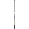 Canne Au Coup Daiwa Aqualite Alborella - 5.00 M / 5 -Daiwaori Magasin 00008 Canne au coup Daiwa Aqualite Alborella 5.00 m 5