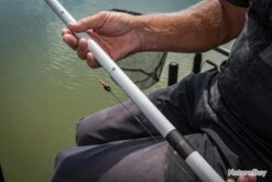 Mtx V2 Grey Short Kit (3.8Mm) -Daiwaori Magasin 00009 Mtx V2 Grey Short Kit 3.8Mm