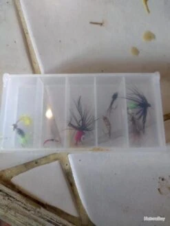 Canne A Mouche En Fibre Avec Moulinet Soie Et Quelque Nimphes Et Mouches -Daiwaori Magasin 00009 canne a mouche en fibre avec moulinet soie et quelque nimphes et mouches