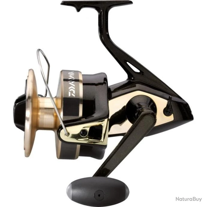 Moulinet Mer Daiwa Gold Silver B 3 Moulinet Mer Daiwa Gold Silver B