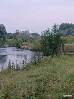 CANNE A MOUCHE COLLECTOR Marque AIKEN (of London). 19 CANNE A MOUCHE COLLECTOR Marque AIKEN (of London). -Daiwaori Magasin 00017 CANNE A MOUCHE COLLECTOR Marque AIKEN of London